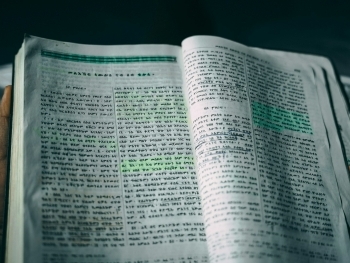 Os Manuscritos do Mar Morto: O Que Eles Revelam Sobre a Bíblia? image